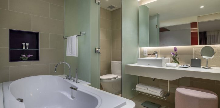 bathroom-dlx-suite-2